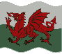 [Animated Welsh flag]